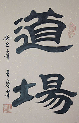 Dojo Origianl Japanese Kanji Calligraphy Wall Scroll