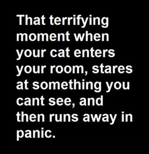 That terrifying moment