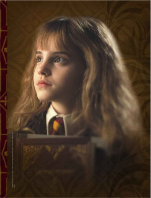 Hermione-Sorcerer-s-Stone-hermione-granger-24516116-547-720.jpg
