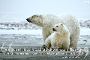 Quotes About Polar Bears