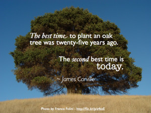 The best time to plant an oak tree was twenty-five years ago. The ...