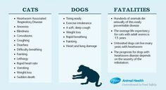 Signs of #heartworm from #Pfizer Animal Health, makers of #Revolution ...