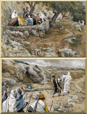 ThePrimacy of Saint Peter 