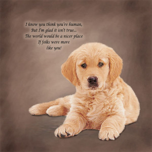 Golden Retriever Pictures With Sayings Golden retriever poetic