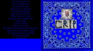 This All Rip Ryders Crip...