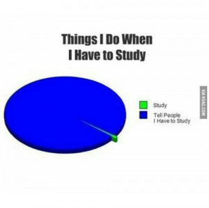 funny, hilarious, lazy, quotes, school sucks, studying, true story ...