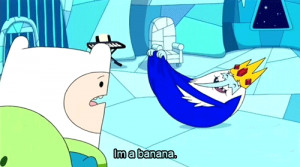 ... ice king land of ooo Finn's hat ice kingdom adventure time quote