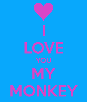love you more than a monkey monkey i love you monkey i love you