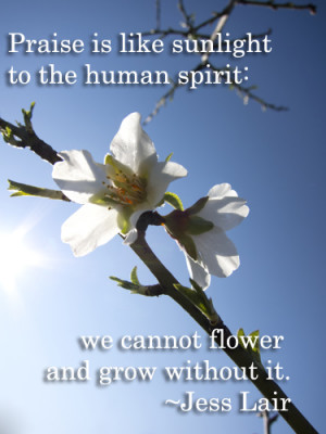 Praise is like sunlight to the human spirit: we cannot flower and grow ...
