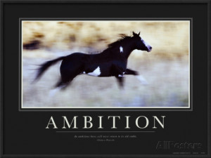 Horse Posters With Quotes