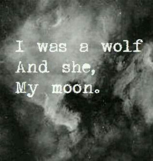 Wolf and moon