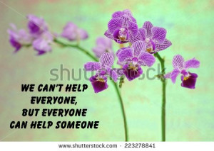 motivational quote about life with a beautiful purple orchid on a ...