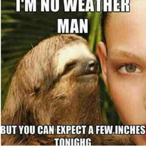 Dirty Sloth Meme Dragon