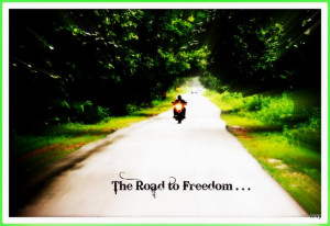 24.Arvinds Harley-Davidson 883 Roadster,2010