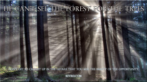 Can 39 t See the Forest through the Trees Quote