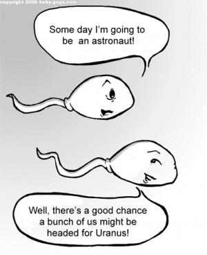 Lady Gaga's 'Sperm' Hat: Fun or Dumb?