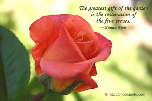 ... gift of the garden is the restoration of the five senses. ~ Hanna Rion