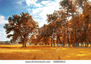stock-photo-autumn-scenery-beautiful-gold-fall-in-park-59860942.jpg