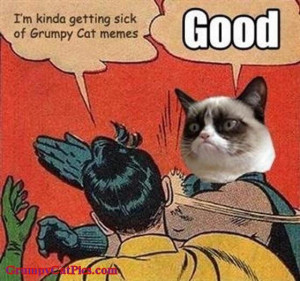 Kinda Getting Sick Of Grumpy Cat Memes ... GOOD