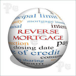 Reverse Mortgage 3D sphere Word Cloud Concept with great terms such as ...