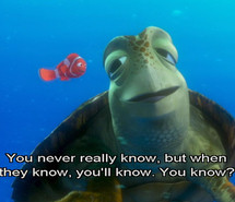 finding-nemo-quote-quotes-turtle-turtles-56244.jpg