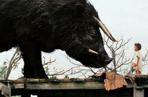 Colonna Sonora: Dan Romer, Benh Zeitlin