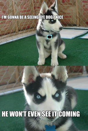 insanity dog meme seeing eye dog