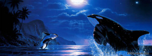 Alpha Coders Art Abyss Animal Killer Whale 58281