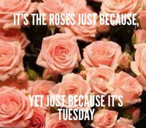 ... include: country, Lyrics, music, the little things and chase rice