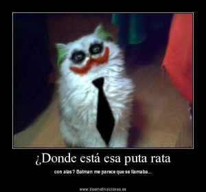 Donde está esa puta rata (FOTO Desmotivaciones)