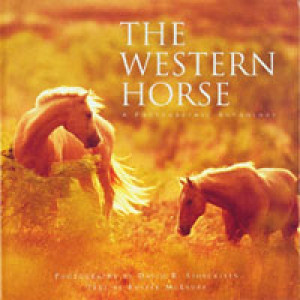 May Horses Horse Books Book