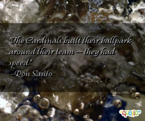 Cardinals Quotes
