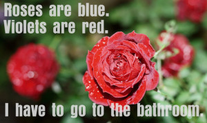 If Patrick Star Quotes Were Motivational Posters