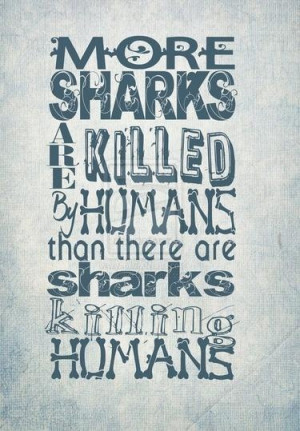 Save the sharks #conservation