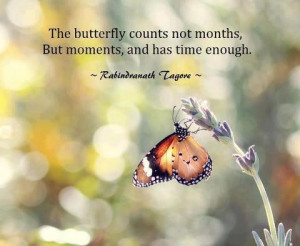 Great Butterfly Quote by Rabindranath Tagore - Butterfly Counts not ...