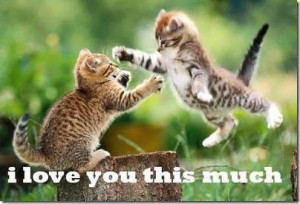 love you this much funny withe quote