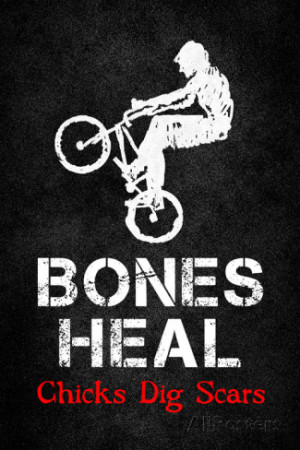 Bones Heal Chicks Dig Scars BMX Sports Plastic Sign Wall sign