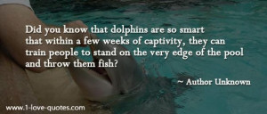 Dolphins Quotes