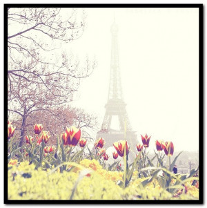 The April rain, the April rain,