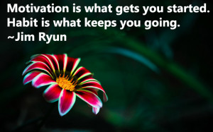 ... is what gets you started. Habit is what keeps you going. – Jim Ryun