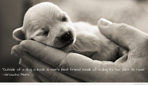 sketches of animal dog hq mobile wallpapers httpwallpapers ...