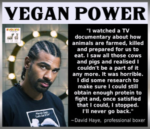 Vegan Stories: Professional Boxer David Haye