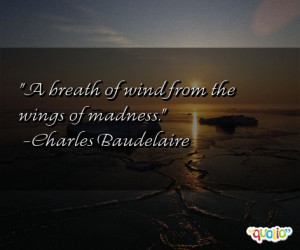 breath of wind from the wings of madness .