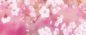 ... one cause of death in shoujo animes: Cherry blossom pollen allergies