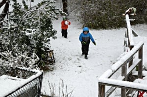 Boys Playing in the Snow