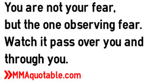 You are not your fear, but the one observing fear. Watch it pass over ...