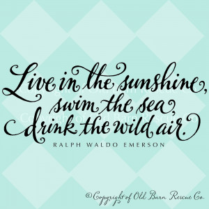 Vinyl Wall Decal - Live in the sunshine... from Old Barn Rescue ...