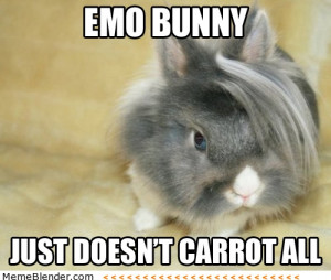 emo bunny just doesnt carrot all