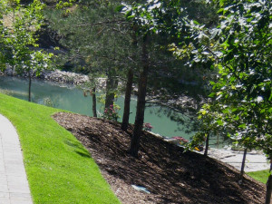 Landscaping On Slope