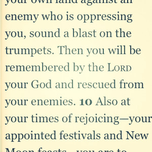 ... be remembered by the Lord your God and rescued from your enemies
